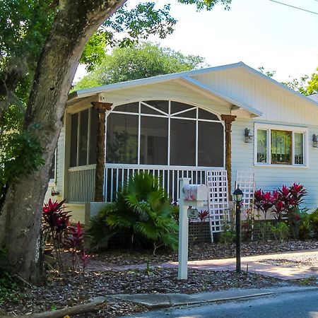 Luxurious Bohemian Bungalow In Lincolnville - Mins From Downtown! St. Augustine Dış mekan fotoğraf